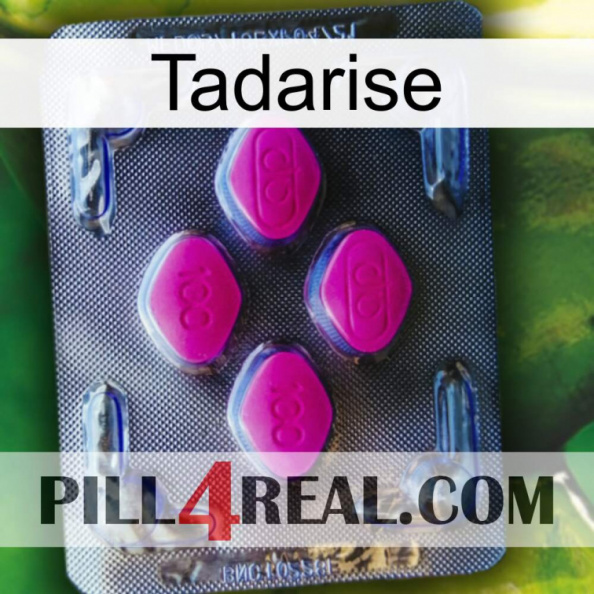 Tadarise 02.jpg